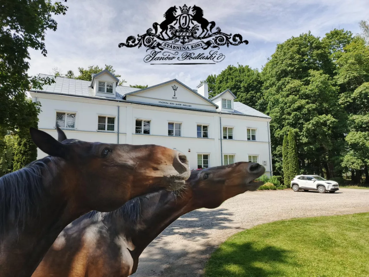 Tegoroczne Dni Konia Arabskiego to: 47. Narodowy Pokaz Koni Czystej Krwi Arabskiej, 56. Aukcja Pride of Poland, Aukcja Summer Sale oraz parady hodowlane w stadninach w Janowie Podlaskim, Michałowie i Białce