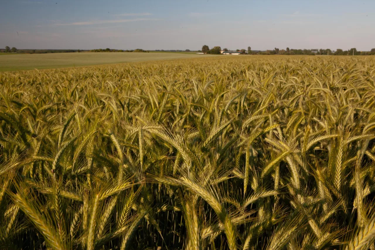 Na otwarcie bez podpisu jedno z 3 do wyboru