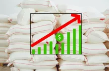 ceny, import, produkcja nawozy 2025