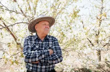 KRUS pomniejszył rentę wdowią: kiedy tak się dzieje?