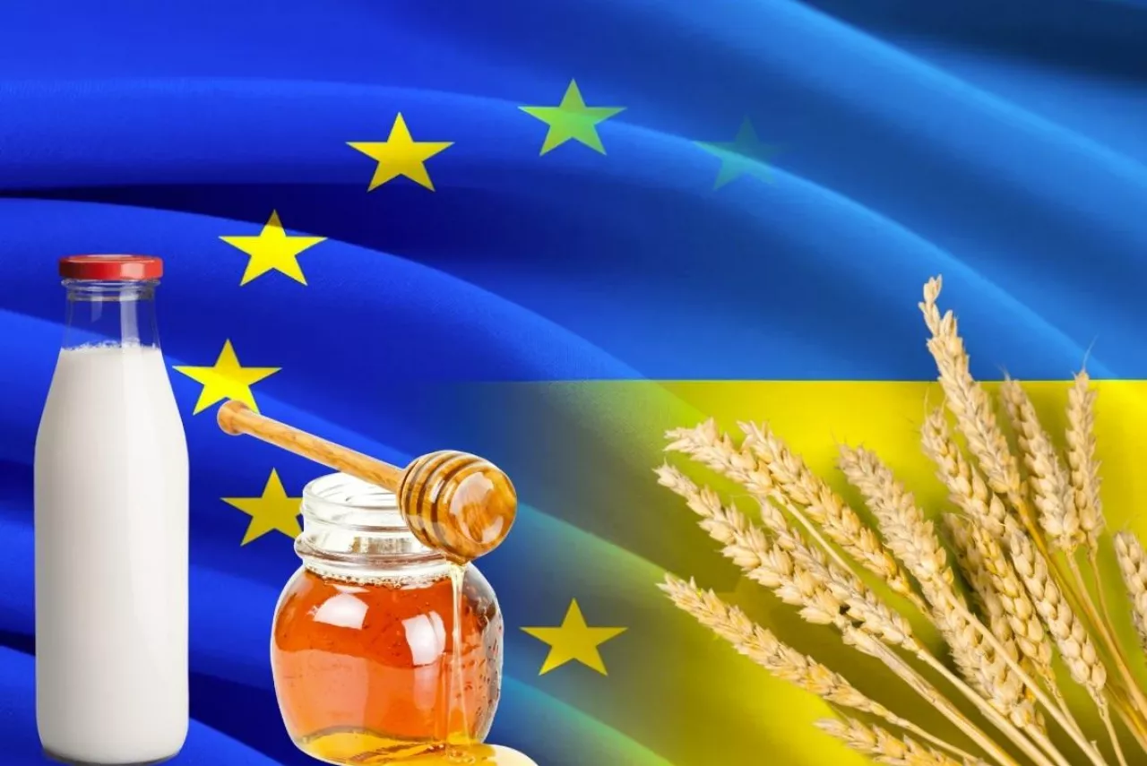 Ukraina, kontyngenty UE