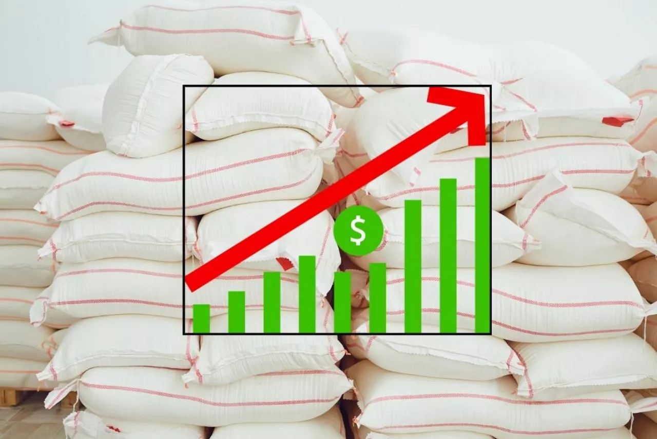 ceny, import, produkcja nawozy 2025