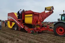 Rekordowe zbiory ziemniaków przy zwiększonym areale uprawy