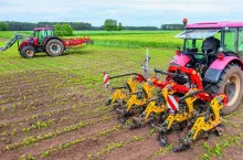 Dwa ciągniki z zaczepionymi pielnikiem międzyrzędowym oraz broną chwastownikiem, które mechanicznie odchwaszczają uprawy na polu