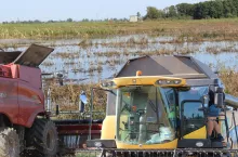 Na wielu polach żniwa trwają, ale są też grunty, gdzie w tym roku nie uda się nic zebrać 