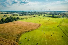 Aerial view of sheaves of hay on green field in summer, Poland
