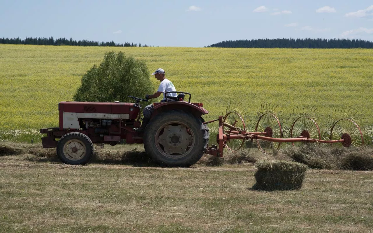 rolnik, traktor, ciągnik, sianokosy, pole