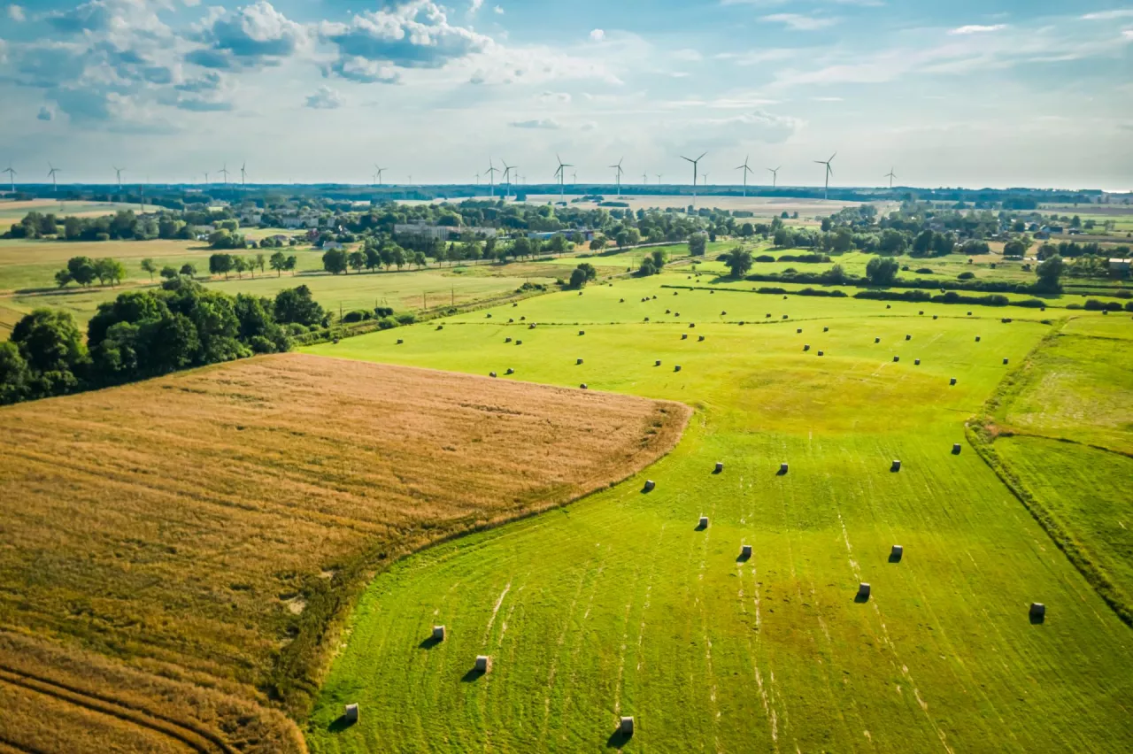 Aerial view of sheaves of hay on green field in summer, Poland