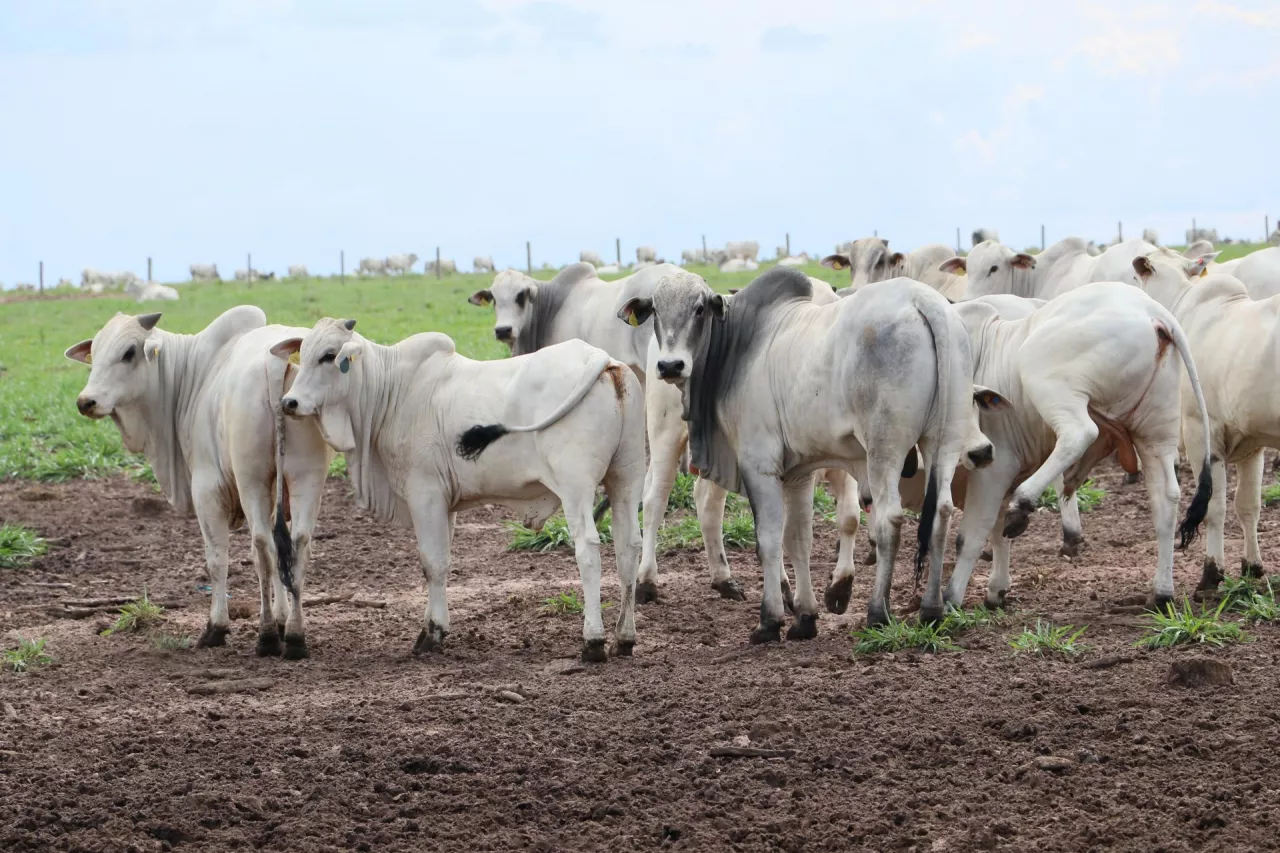 Wyjazdy studyjne z Top Agrar