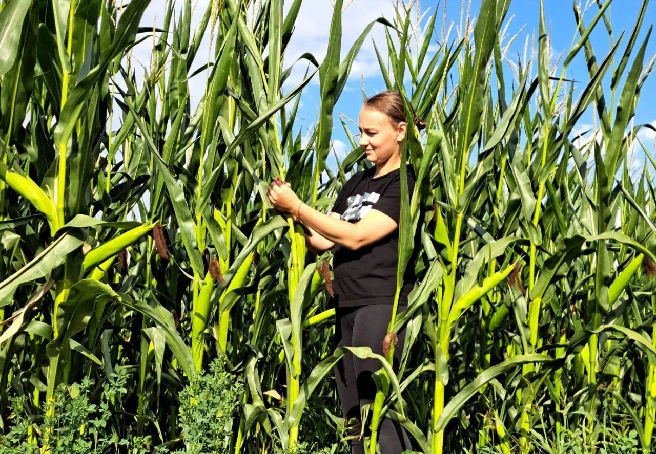 Rolniczka Anna Wencel-Pakuła w czasie pracy