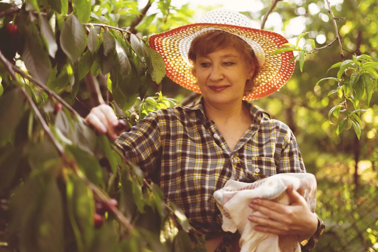 Wcześniejsza emerytura z KRUS: na jakich zasadach jest możliwa?