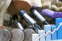 Ceny mleka w lipcu 2025 r. wg GUS. Jak wygląda rynek mleka i jakie są wyniki aukcji GDT?