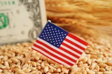 Amerykańska flaga na tle ziarna i dolara – handel rolny USA–UE