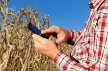 aplikacja suszowa 2025, szacowanie strat suszowych