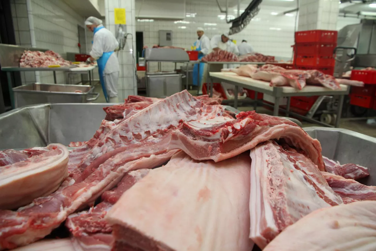 Wieprzowina, ZM Czarnków