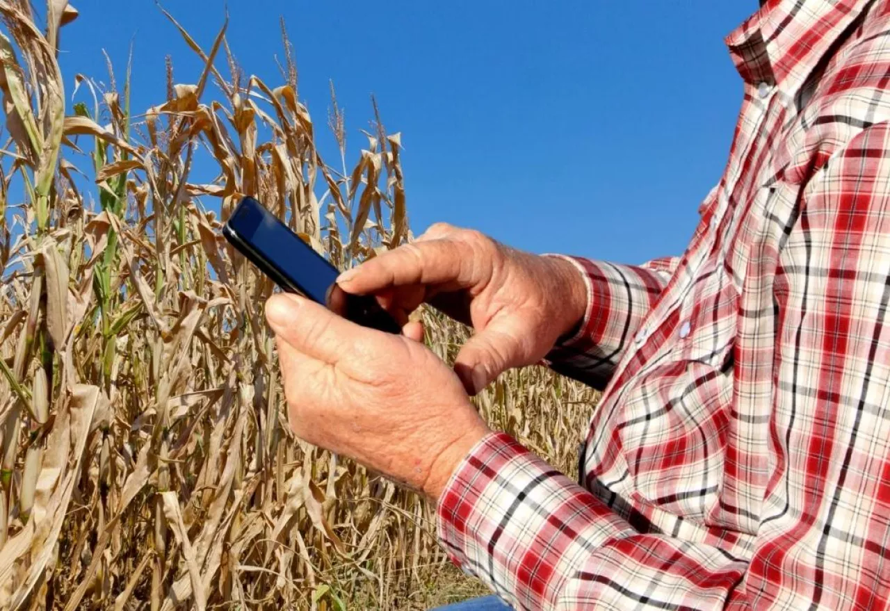 aplikacja suszowa 2025, szacowanie strat suszowych