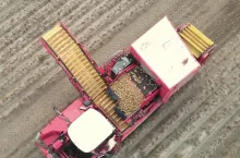 Tragi Ziemniaczane w Potęgowie