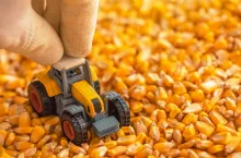 Transport kukurydzy: jak wysoko można załadować przyczepę?