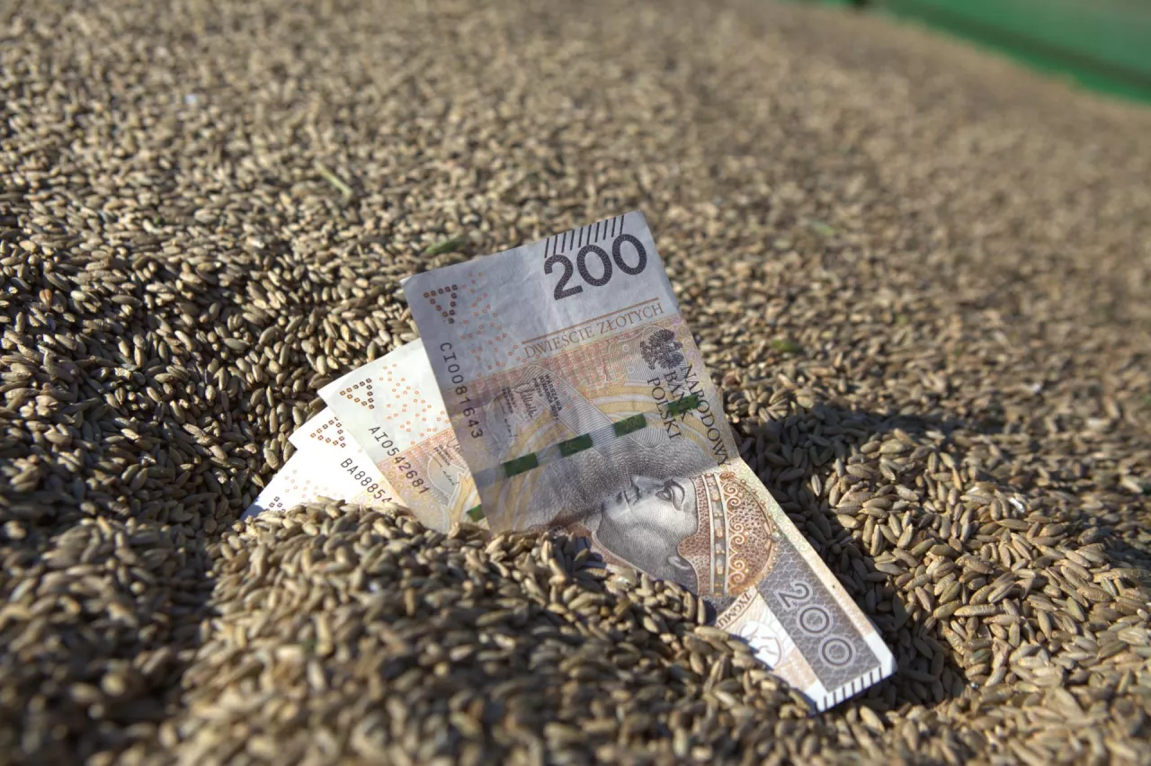 Dziś za zboże 800 zł płaci już niewielu