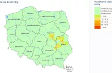 Susza 2025 kukurydza na kiszonkę