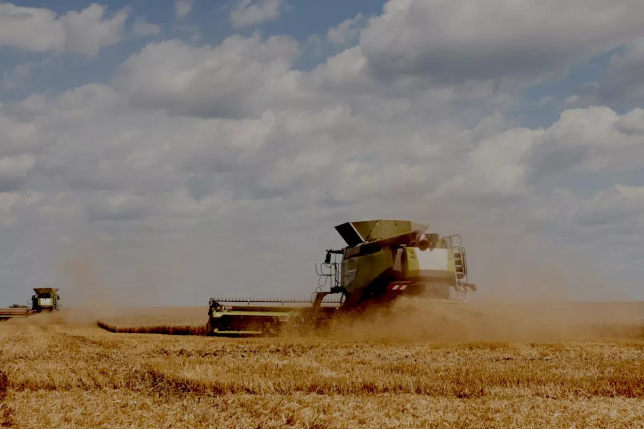 kombajny, żniwa, pole, rolnictwo, WPR, dopłaty