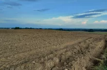 ziemia rolna