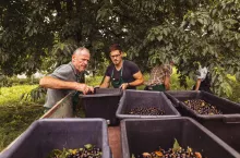 Zatrudnianie cudzoziemców: jest projekt nowego rozporządzenia MRPiPS!