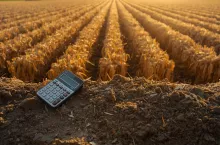 Likwidacja spółki cywilnej w gospodarstwie rolnym a VAT. Jak ograniczyć zwrot podatku?