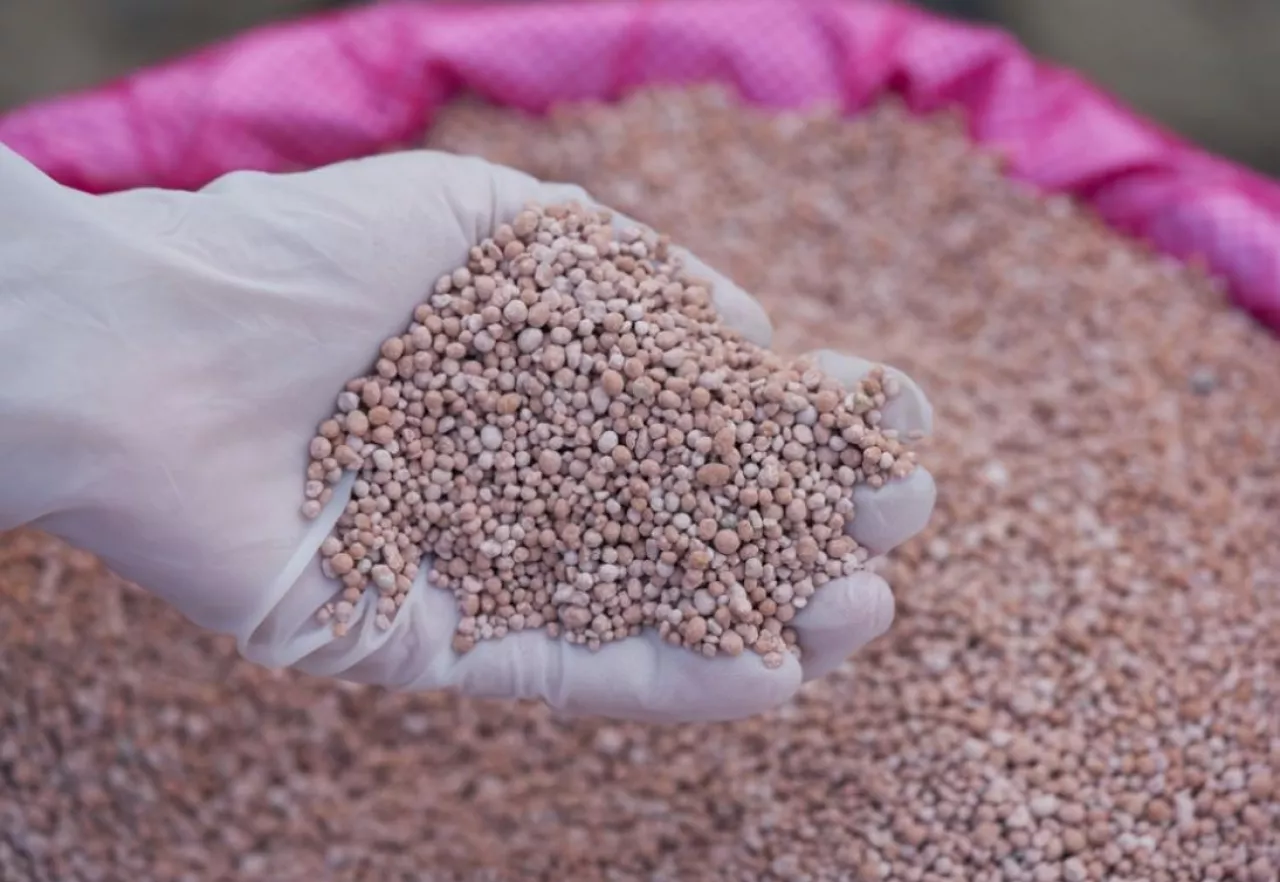 rynek nawozów potasowych