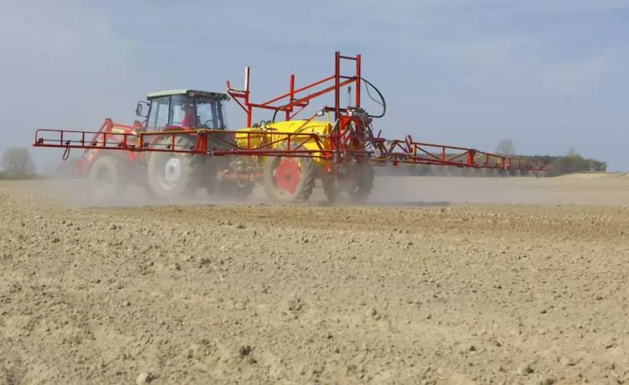 chwasty, doglebowe zwalczanie chwastów, rzepak