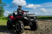 quady niszczą pola rolnikom