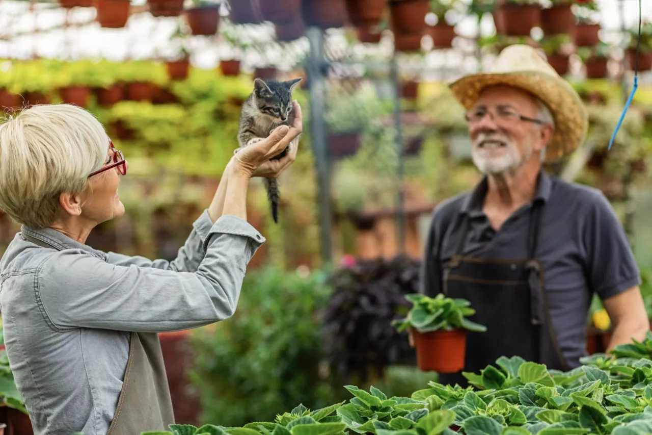 KRUS: czy emeryt może podjąć dodatkową pracę zarobkową? Co z wysokością emerytury?
