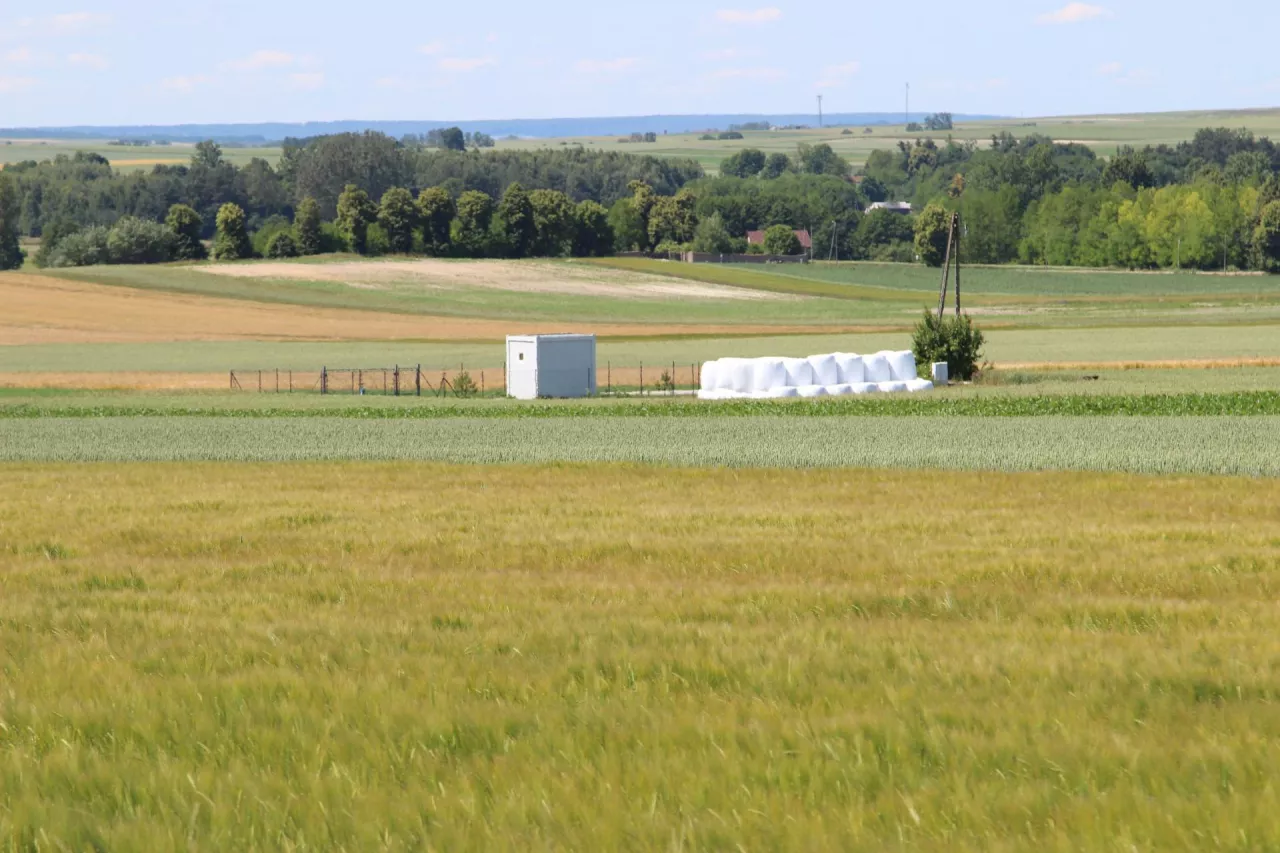 Planowany termin przyjęcia finalnego projektu ustawy o dzierżawie rolniczej przez Radę Ministrów to czwarty kwartał 2025 r.