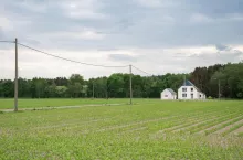 Kiedy wygasa status gospodarstwa rolnego?