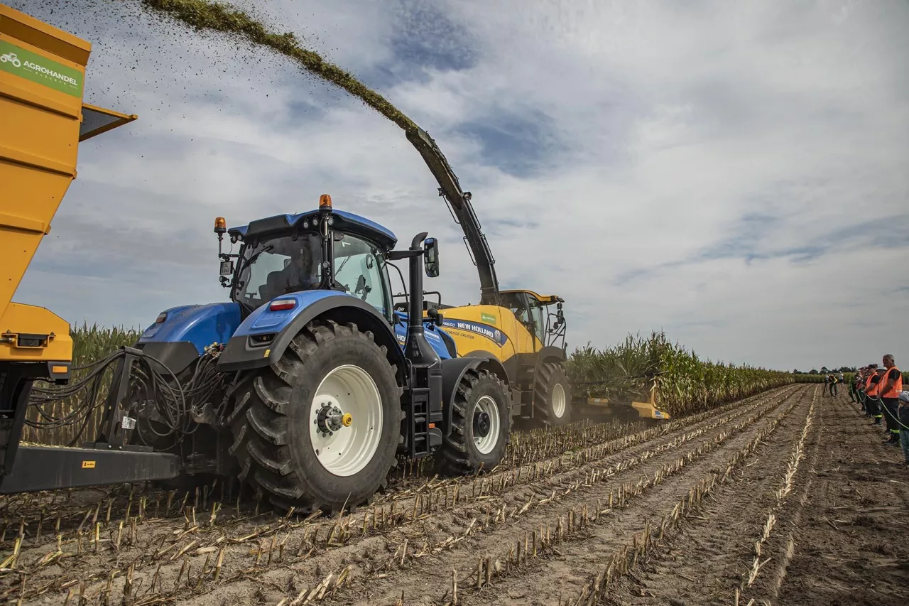 Pokaz pracy sieczkarni New Holland FR 650 podczas Krajowego Dnia Kukurydzy w Wilkowicach