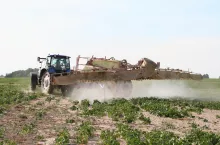 Zabieg ochrony roślin przy użyciu opryskiwacza zaczepianego. Ciągnik New Holland wykonuje oprysk na polu ziemniaków.