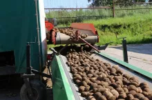 przechowalnia FFP2 Bobrowniki pomorskie