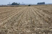 MRiRW uważa, że brak przedłużenia okresu wstrzymania sprzedaży nieruchomości z ZWRSP może doprowadzić do ”zachwiania zasady, że podstawową i najkorzystniejszą dla rolników formą zagospodarowania nieruchomościami Zasobu jest dzierżawa”.