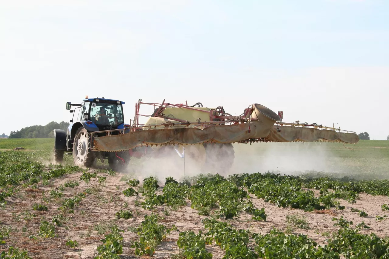 Zabieg ochrony roślin przy użyciu opryskiwacza zaczepianego. Ciągnik New Holland wykonuje oprysk na polu ziemniaków.