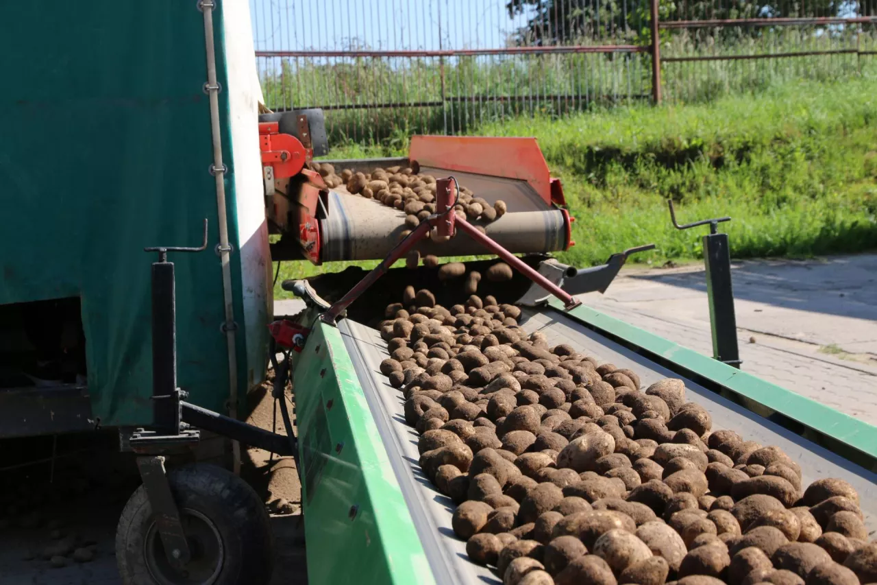 przechowalnia FFP2 Bobrowniki pomorskie