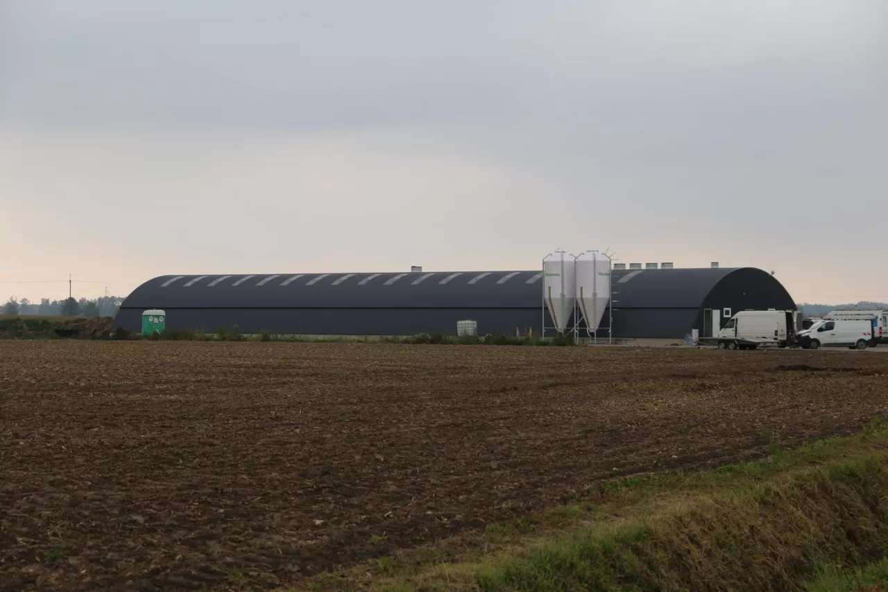 tuczarnia w hali łukowej, Wojciech Styburski