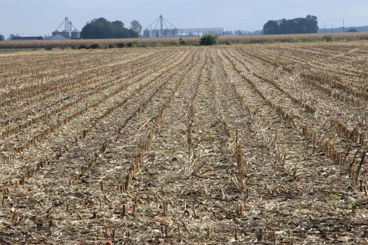 MRiRW uważa, że brak przedłużenia okresu wstrzymania sprzedaży nieruchomości z ZWRSP może doprowadzić do ”zachwiania zasady, że podstawową i najkorzystniejszą dla rolników formą zagospodarowania nieruchomościami Zasobu jest dzierżawa”.