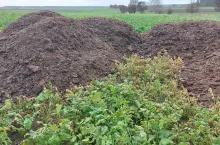 Obornik kurzy, przechowywanie obornika, kara, kontrola