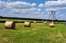 Czy rolnik może kupić ziemię rolną w innym województwie niż mieszka?
