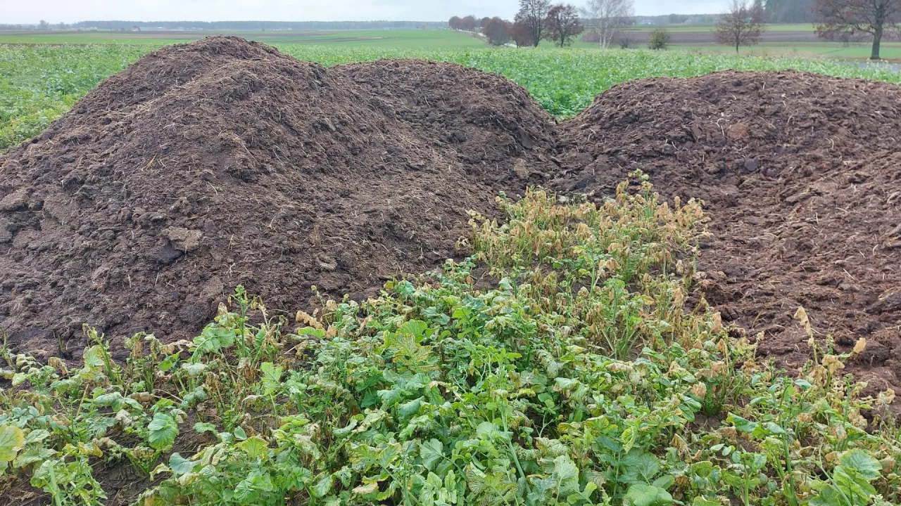Obornik kurzy, przechowywanie obornika, kara, kontrola
