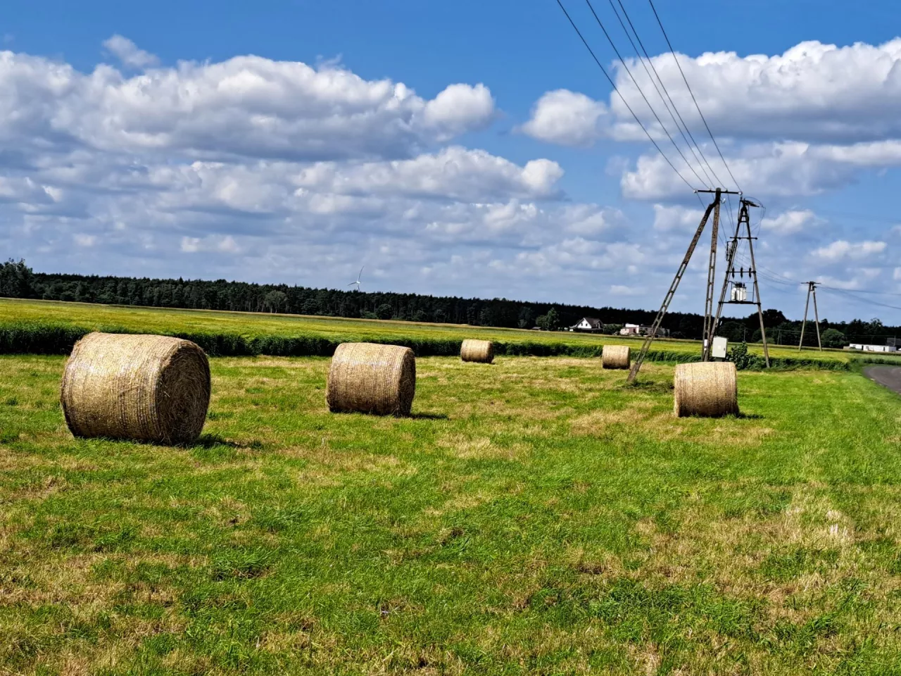 Czy rolnik może kupić ziemię rolną w innym województwie niż mieszka?