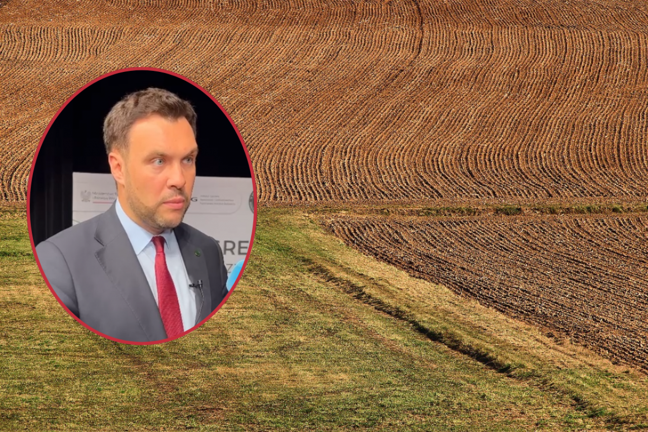 Adam Nowak, wiceminister rolnictwa i rozwoju wsi