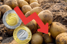 ceny ziemniaków, rynek ziemniaków, eksport ziemniaków
