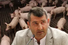 Dariusz Ciochanowski, rolnik ze wsi Goniądz w powiecie monieckim (woj. podlaskie) chciałby wrócić do hodowli świń 