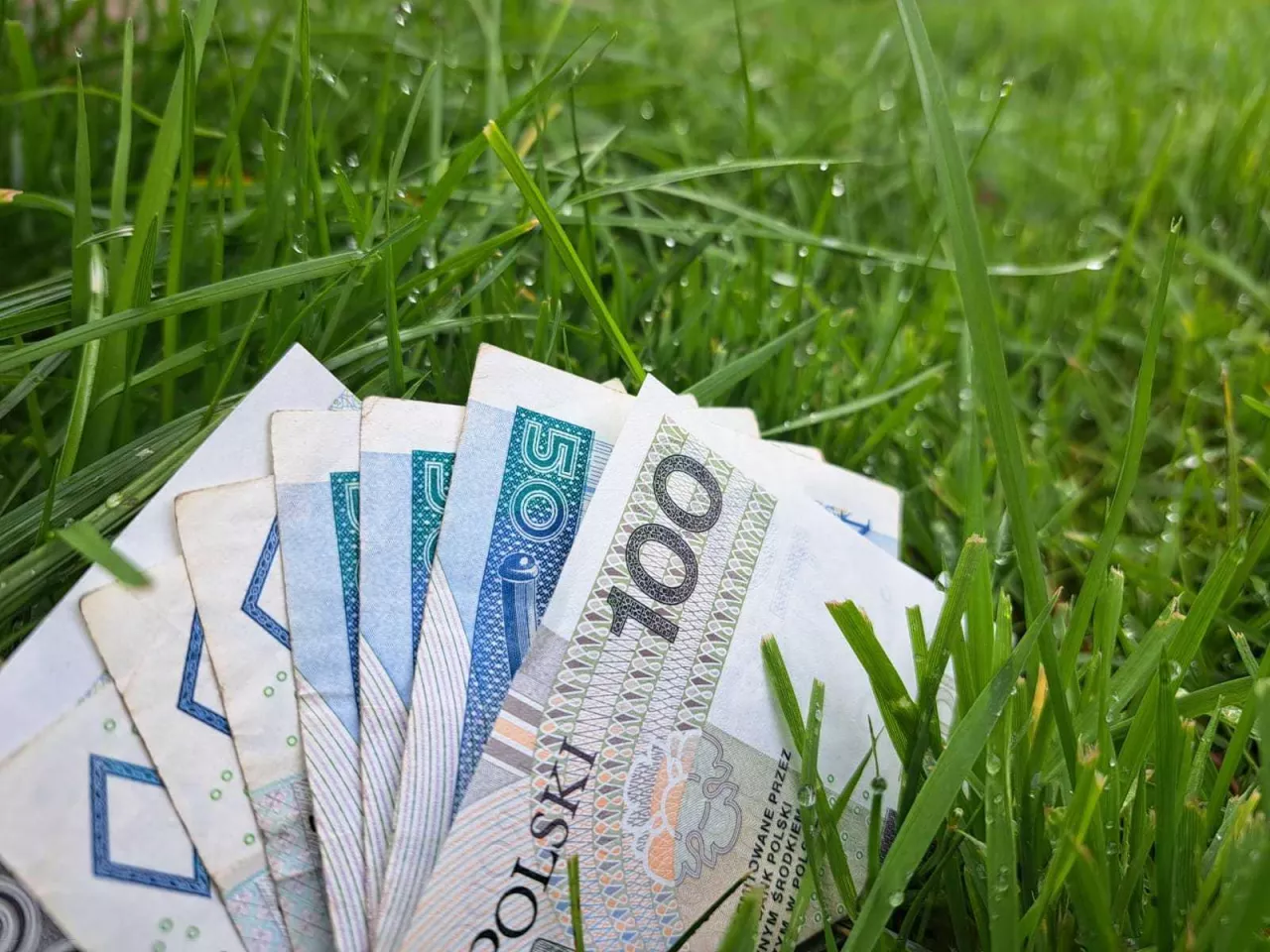 Nowe kwoty przychodu: oto obowiązujące limity!